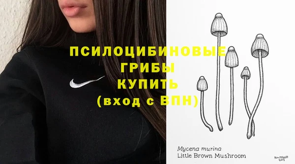 амф Алексеевка