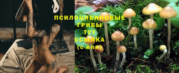 прущая мука Алексин