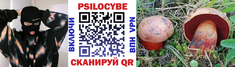 купить Когалым Псилоцибиновые грибы мицелий