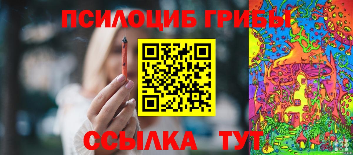 Псилоцибиновые грибы мицелий Когалым