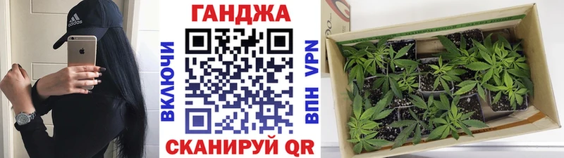 Конопля планчик Когалым